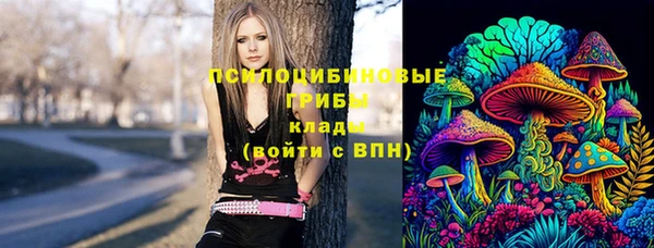 2c-b Вязьма